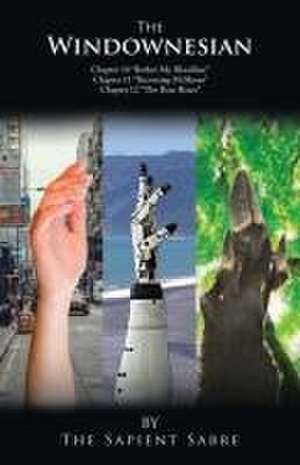 The Windownesian de The Sapient Sabre