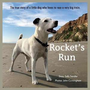 Rocket's Run: Volume 1 de Sally Sandler