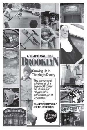 A Place Called Brooklyn: Volume 1 de Frank Cornacchiulo