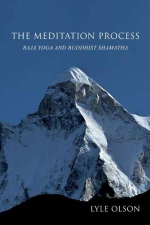 The Meditation Process: Raja Yoga and Buddhist Shamatha Volume 1 de Lyle Olson