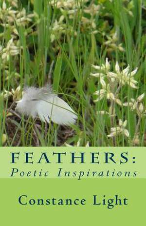 Feathers de Light, Constance