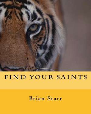 Find Your Saints de Starr, MR Brian Daniel