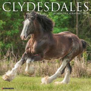 CLYDESDALES 2022 WALL CALENDAR de Willow Creek Press