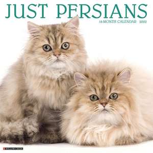 PERSIANS 2022 WALL CALENDAR de Willow Creek Press