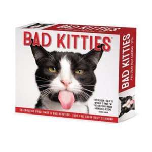 Bad Kitties 2025 6.2 X 5.4 Box Calendar de Willow Creek Press