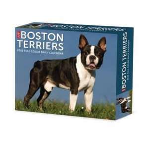 Boston Terriers 2025 6.2 X 5.4 Box Calendar de Willow Creek Press