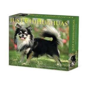 Chihuahuas 2025 6.2 X 5.4 Box Calendar de Willow Creek Press