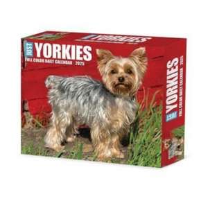 Yorkies 2025 6.2 X 5.4 Box Calendar de Willow Creek Press