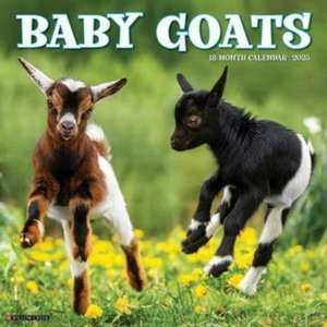 Baby Goats 2025 12 X 12 Wall Calendar de Willow Creek Press