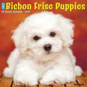 Just Bichon Frise Puppies 2025 12 X 12 Wall Calendar de Willow Creek Press