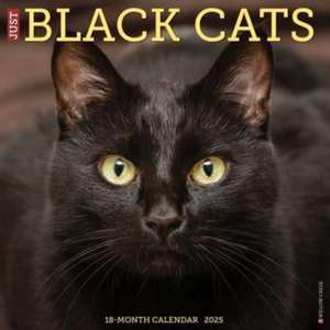 Just Black Cats 2025 12 X 12 Wall Calendar de Willow Creek Press