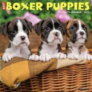 Just Boxer Puppies 2025 12 X 12 Wall Calendar de Willow Creek Press