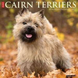 Just Cairn Terriers 2025 12 X 12 Wall Calendar de Willow Creek Press