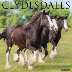 Clydesdales 2025 12 X 12 Wall Calendar de Willow Creek Press