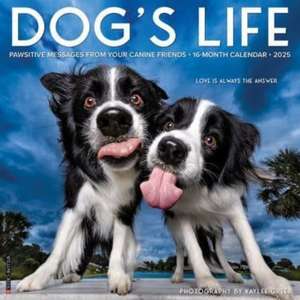 Dog's Life 2025 12 X 12 Wall Calendar