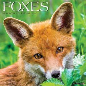 Foxes 2025 12 X 12 Wall Calendar de Willow Creek Press