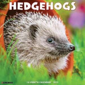 Hedgehogs 2025 12 X 12 Wall Calendar de Willow Creek Press