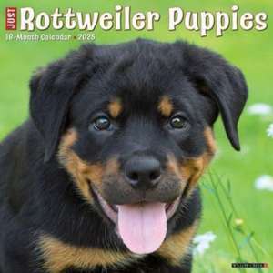 Just Rottweiler Puppies 2025 12 X 12 Wall Calendar de Willow Creek Press