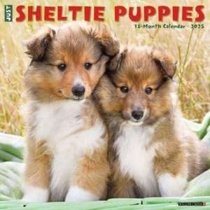 Just Sheltie Puppies 2025 12 X 12 Wall Calendar de Willow Creek Press