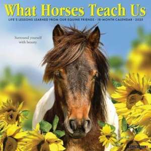 What Horses Teach Us 2025 12 X 12 Wall Calendar de Willow Creek Press