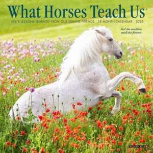 What Horses Teach Us 2025 7 X 7 Mini Wall Calendar de Willow Creek Press