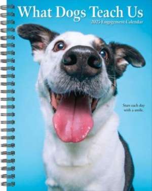 What Dogs Teach Us 2025 6.5 X 8.5 Engagement Calendar de Willow Creek Press