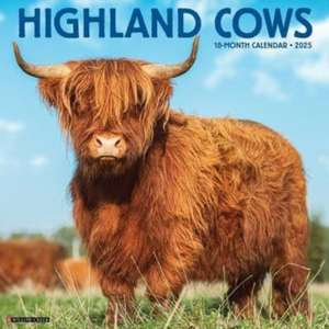 Highland Cows 2025 12 X 12 Wall Calendar de Willow Creek Press