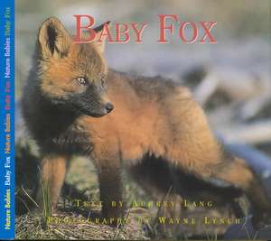 Baby Fox de Aubrey Lang