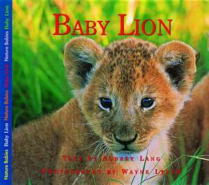 Baby Lion de Aubrey Lang