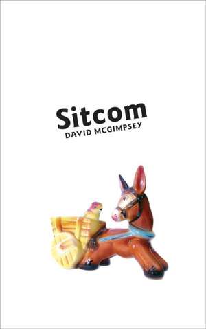 Sitcom de David McGimpsey