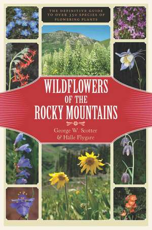 Wildflowers of the Rocky Mountains de George W. Scotter