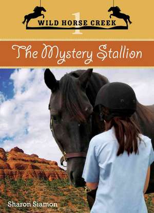 The Mystery Stallion de Sharon Siamon