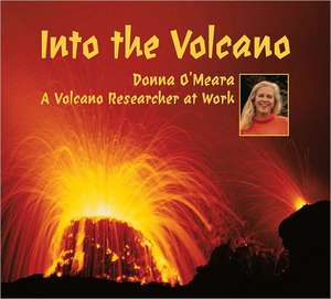 Into the Volcano: A Volcano Researcher at Work de Donna O'Meara