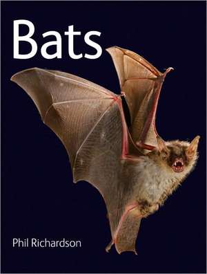 Bats de Phil Richardson