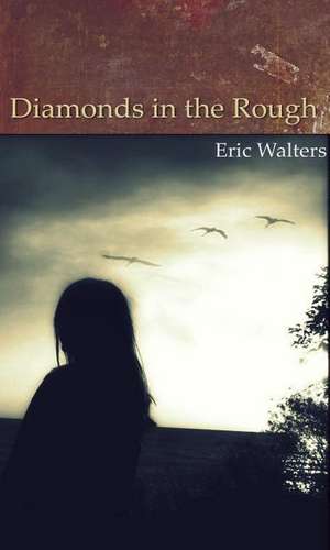 Diamonds in the Rough de Eric Walters