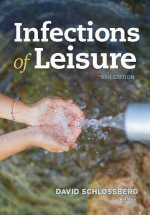 Infections of Leisure de David Schlossberg