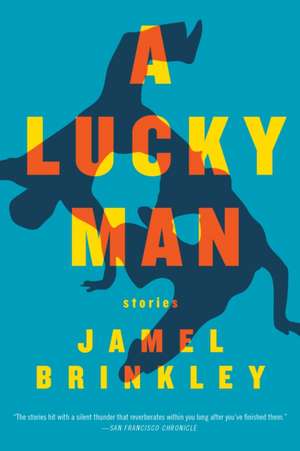 A Lucky Man de Jamel Brinkley