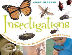 Insectigations de Cindy Blobaum