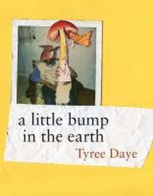 A Little Bump in the Earth de Tyree Daye