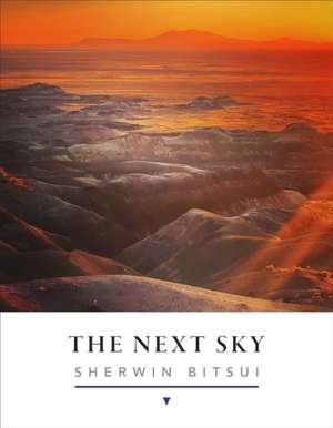 The Next Sky de Sherwin Bitsui