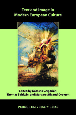 Text and Image in Modern European Culture de Natasha Grigorian