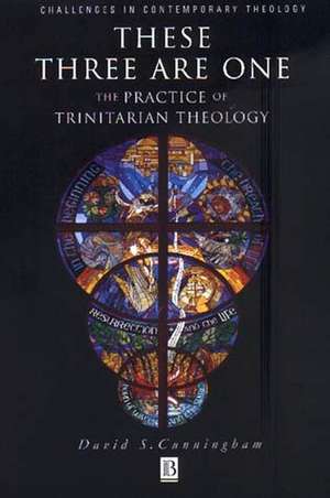 These Three are One – The Practice of Trinitarian Theology de Cunningham