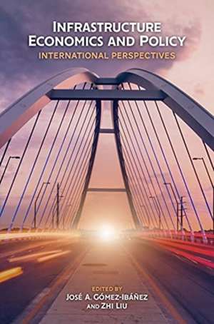 Infrastructure Economics and Policy – International Perspectives de José A. Gómez–ibáñez