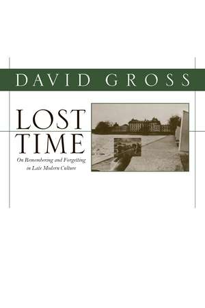 Lost Time: On Remembering and Forgetting in Late Modern Culture de David Gross