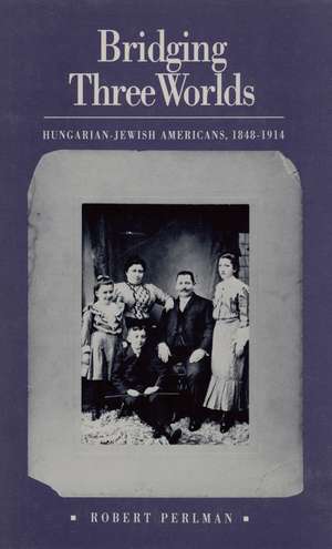 Bridging Three Worlds: Hungarian-Jewish Americans, 1848-1914 de Robert Perlman