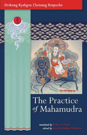 The Practice of Mahamudra: The Teachings of His Holiness, the Drikung Kyabgon, Chetsang Rinpoche de Drikung Kyabgon Chetsang Rinpoche