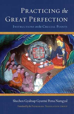 Practicing the Great Perfection de Schechen Gyaltsap Gyurme Pema Namgyal