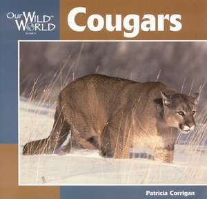 Cougar de Patricia Corrigan