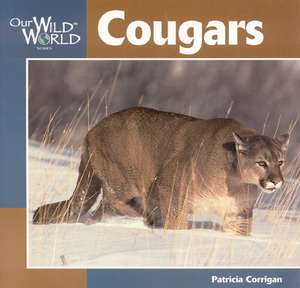 Cougars de Patricia Corrigan