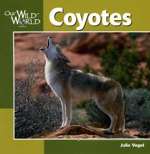 Coyotes de Julia Vogel